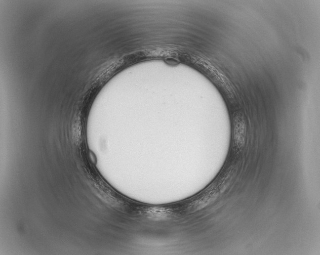 X0000115710261200912101243