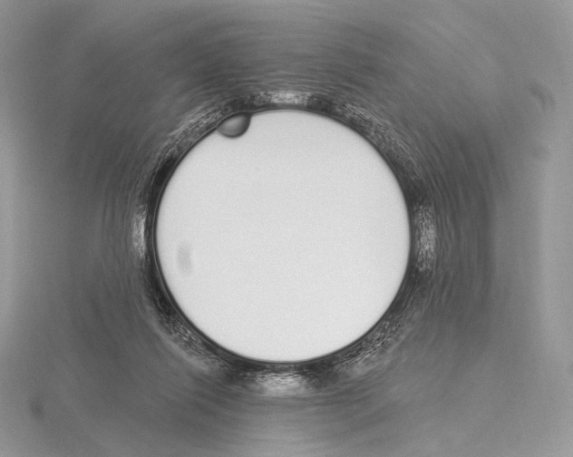 X0000115710262200912101243