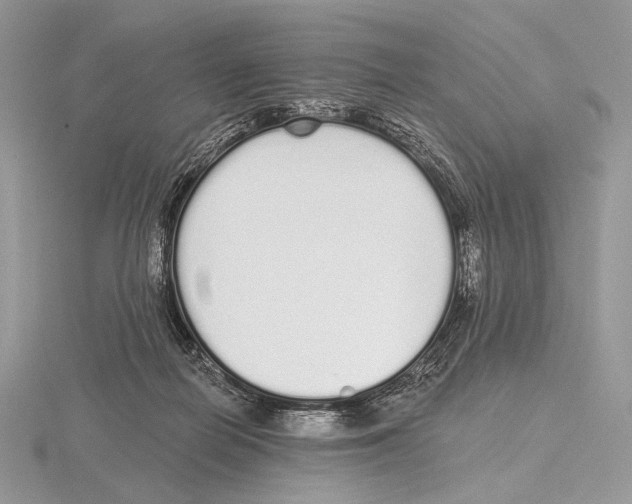 X0000115710266200912101243