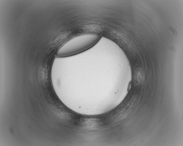 X0000115710268200912101243