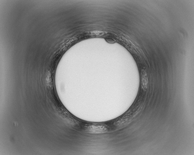 X0000115710270200912101243