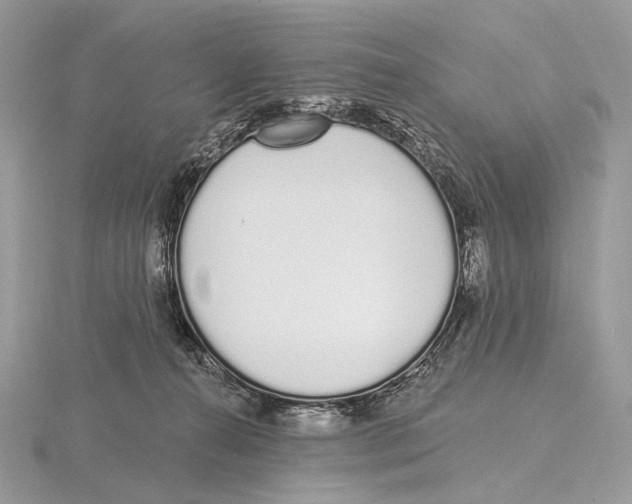 X0000115710272200912101244