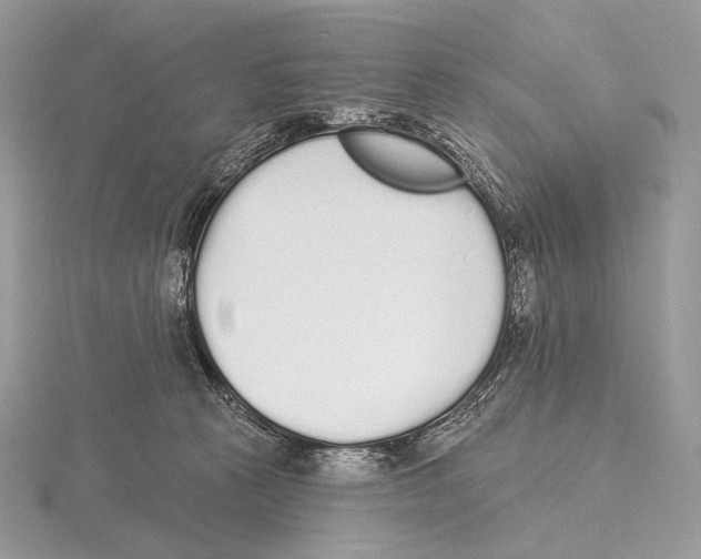 X0000115710273200912101244