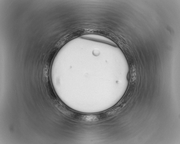 X0000115710275200912101244