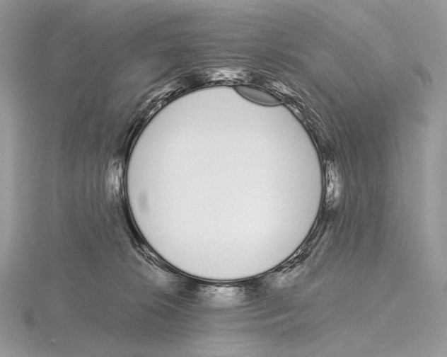 X0000115710276200912101244