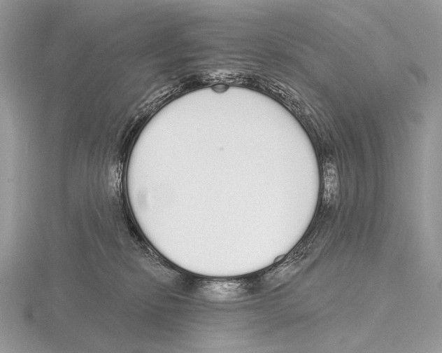 X0000115710278200912101244