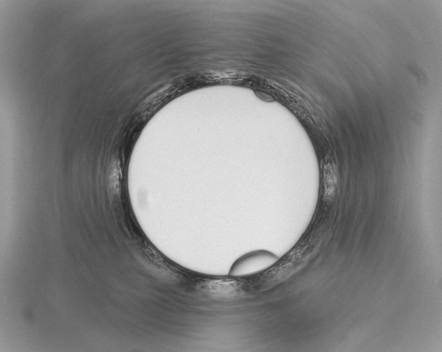 X0000115710279200912101244