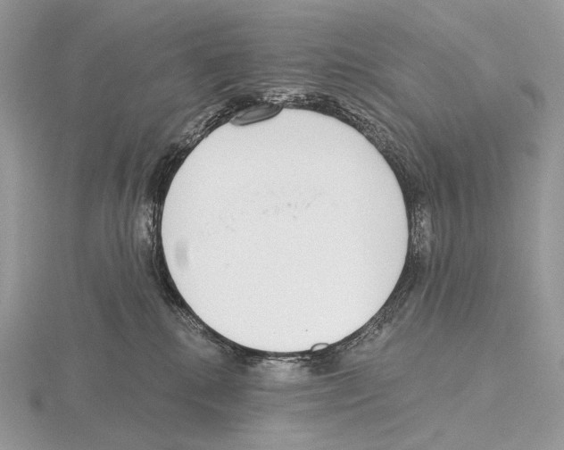 X0000115710280200912101244