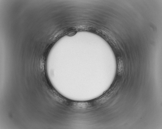 X0000115710282200912101244