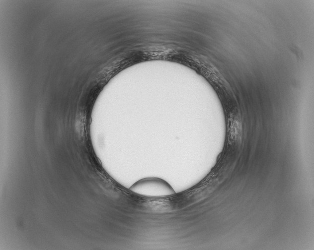 X0000115710283200912101244