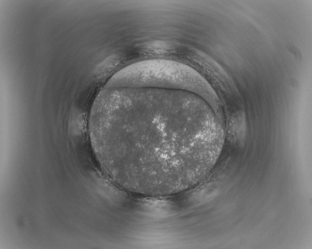 X0000115710284200912101244