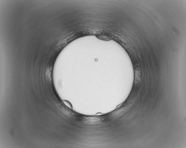 X0000115710286200912101244