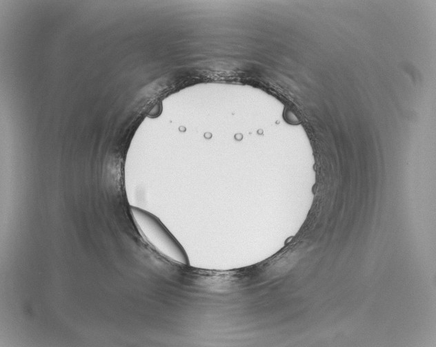 X0000115710288200912101244