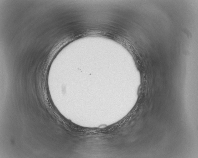 X0000115710289200912101243