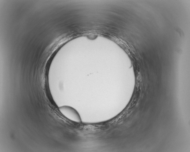 X0000115710290200912101243