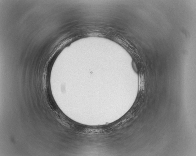 X0000115710291200912101243