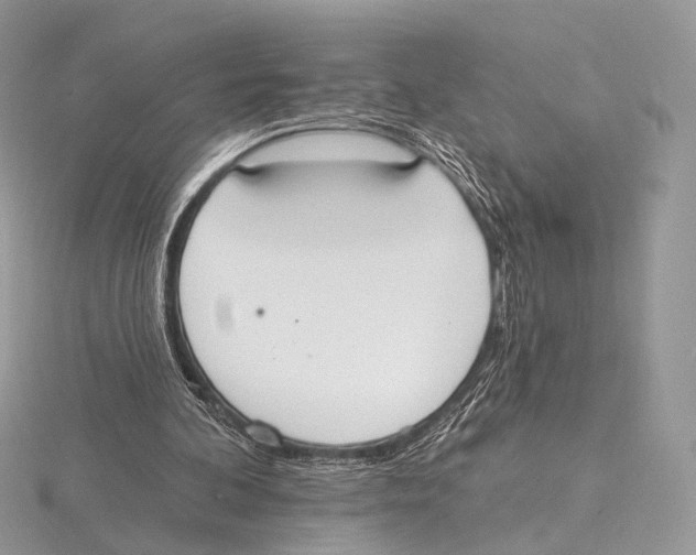 X0000115710292200912101243