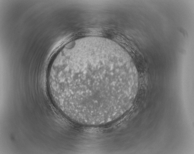 X0000115710293200912101243