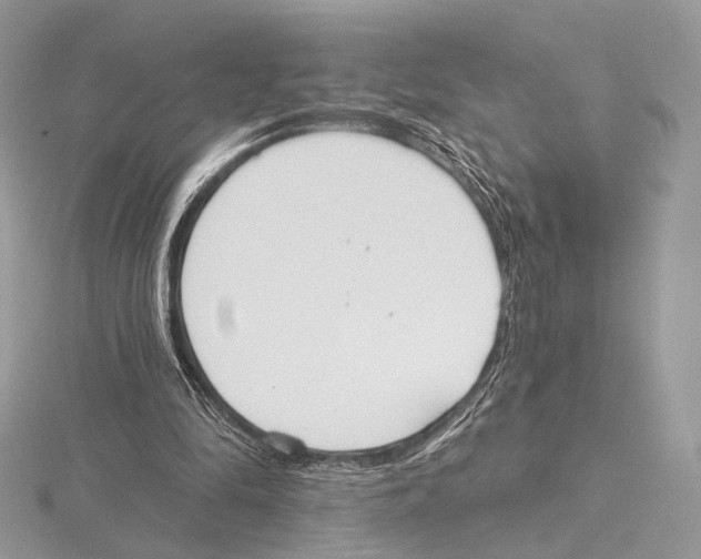 X0000115710294200912101243