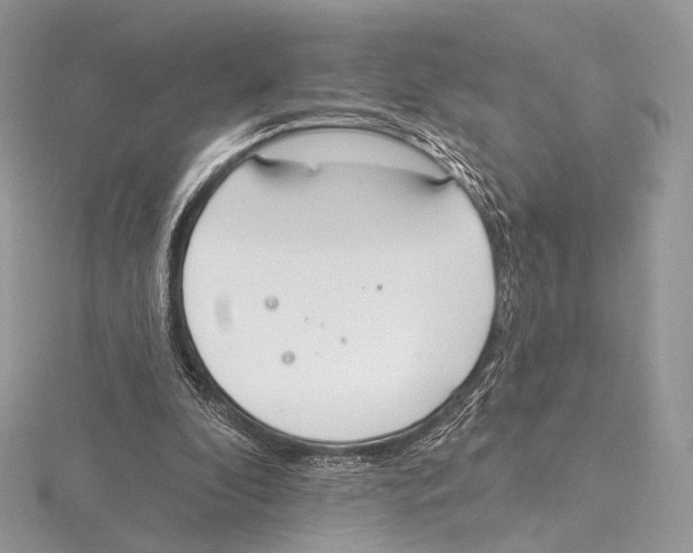 X0000115710296200912101243