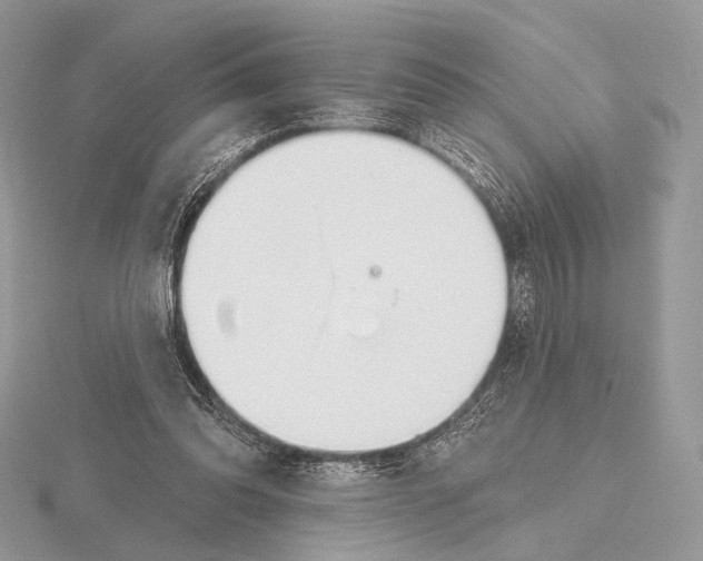 X0000115710302200912101243