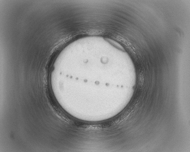 X0000115710303200912101243