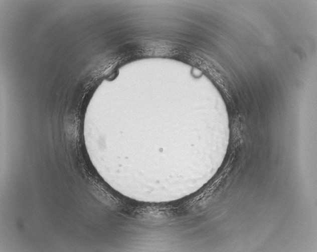 X0000115710305200912101243