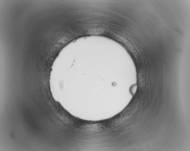 X0000115710307200912101243