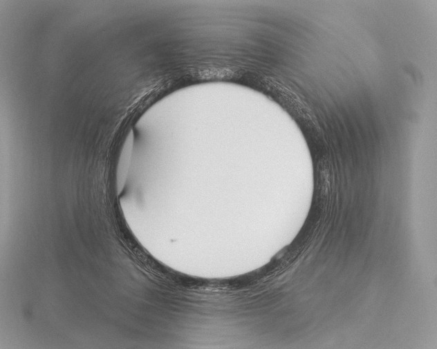 X0000115710308200912101243