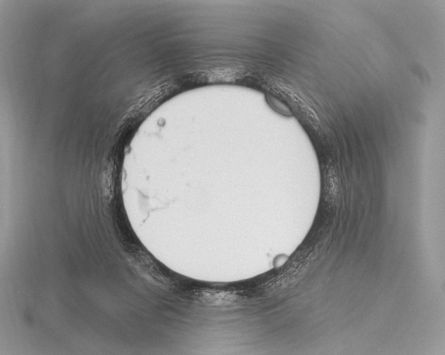 X0000115710311200912101243