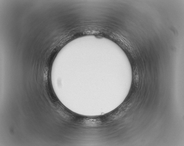 X0000115710315200912101243