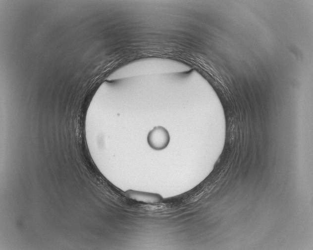 X0000115710317200912101243