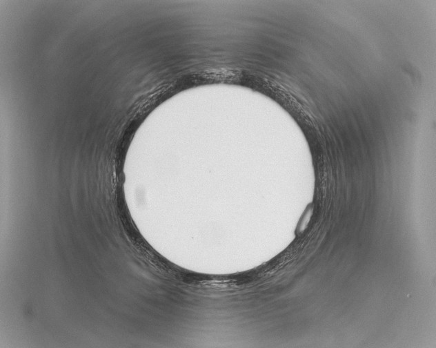 X0000115710320200912101243