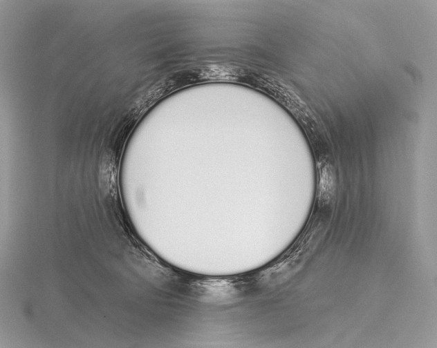 X0000115710322200912101243