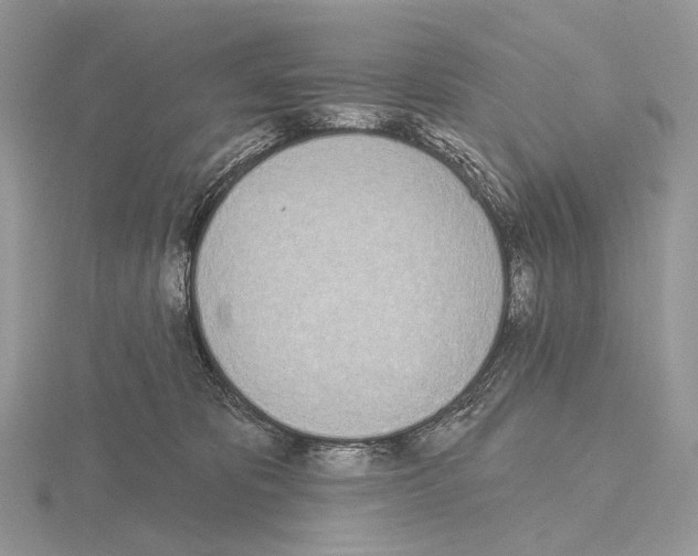 X0000115710325200912101243