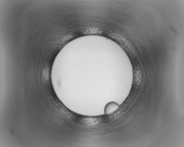 X0000115710326200912101243