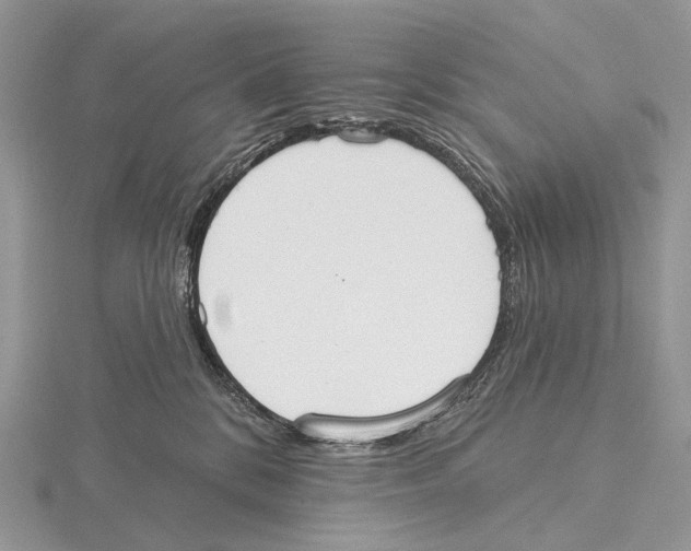 X0000115710328200912101243