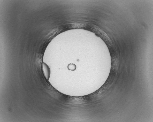 X0000115710329200912101242