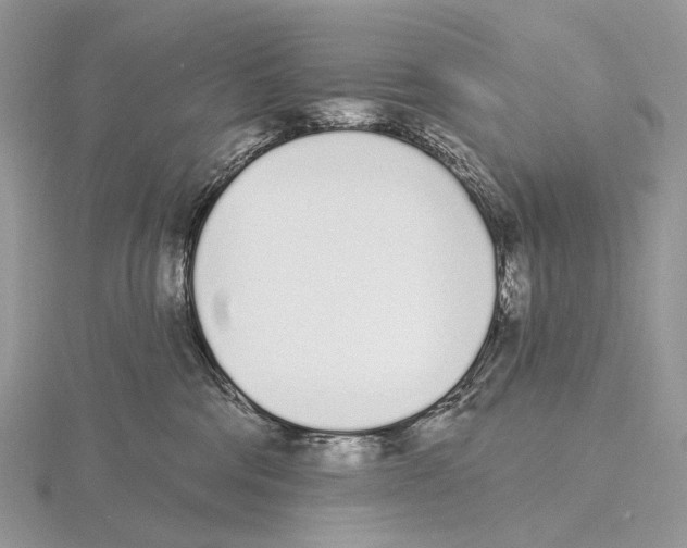 X0000115710330200912101242