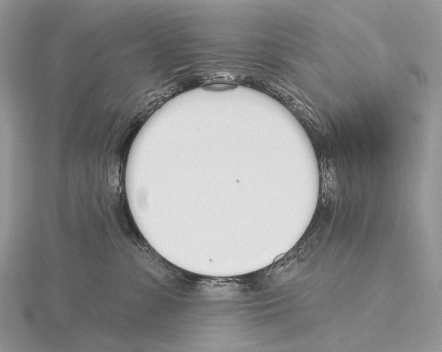 X0000115710331200912101242