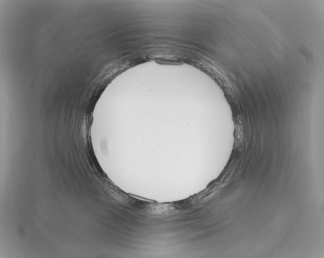 X0000115710333200912101242