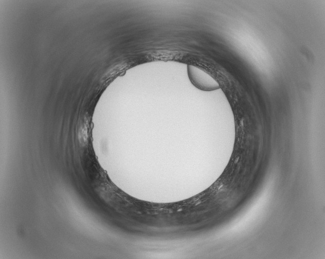 X0000115710334200912101242