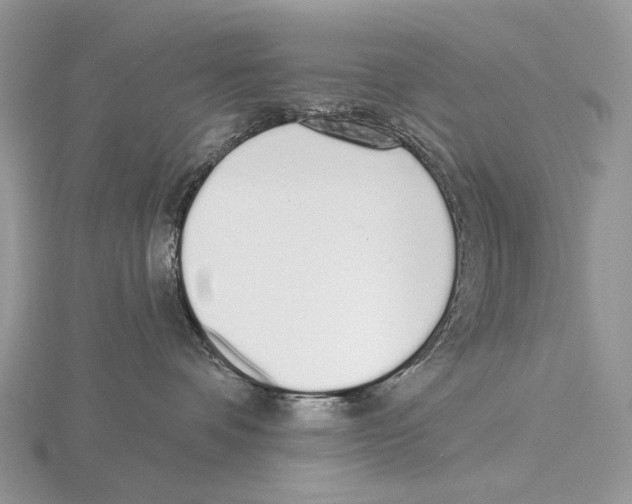 X0000115710336200912101242