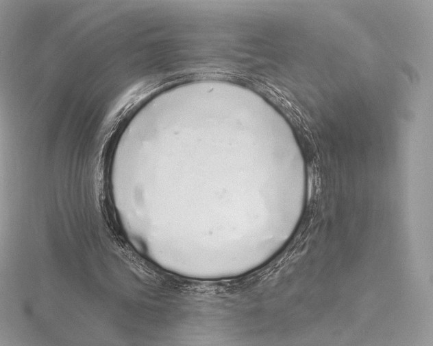 X0000115710339200912101242