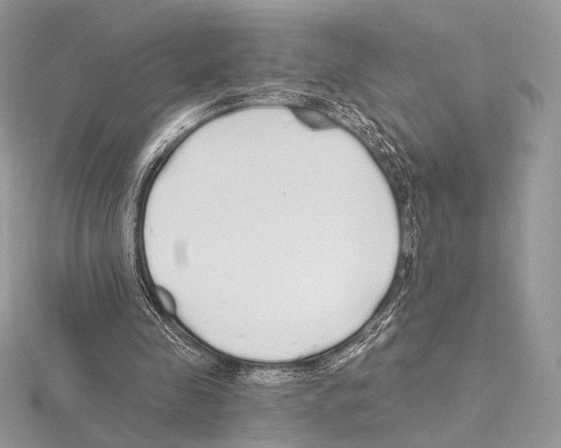 X0000115710341200912101242