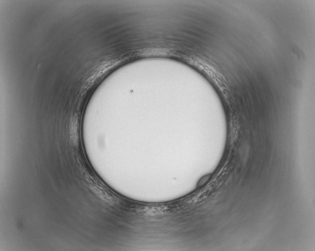 X0000115710345200912101242