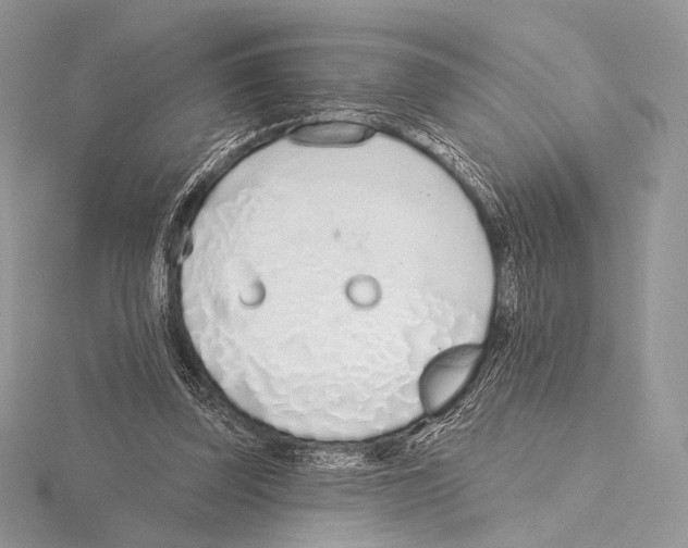 X0000115710347200912101242