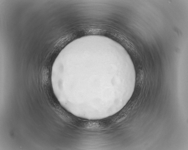 X0000115710361200912101242