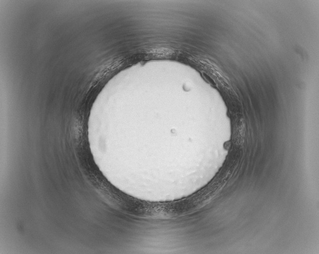 X0000115710365200912101242