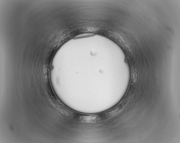 X0000115710366200912101242